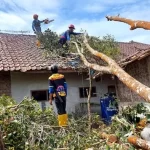 Foto : Rumah Tertimpa Pohon di Panawangan, Ciamis_net