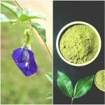 27-bahan-pewarna-alami-untuk-mempercantik-makanan