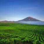 5_Fakta_Menarik_Tentang_Taman_Nasional_Gunung_Kerinci