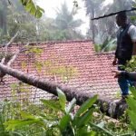 Foto : Pohon tumbang timpa rumah warga_net