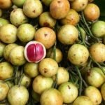 img-20190616-231022-b1184a09c11ecdd83465d09708483513_600x400