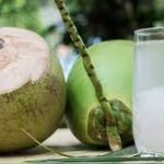 Foto : kelapa muda_net