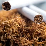 Gambar : Tembakau_net