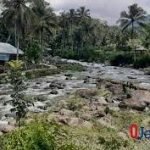 download (1) foto : Cadas Ngampar