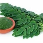 images (7) foto : Daun Kelor